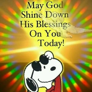 Meet your Posher, Alyse